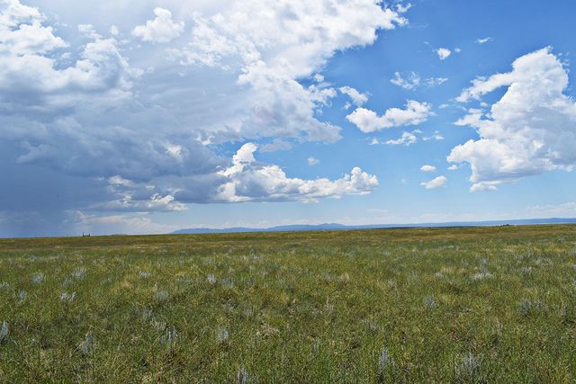 Lot 5 Estancia Ranchettes 4, Moriarty, NM 87035