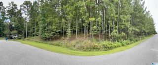 303 BARON DRIVE, Chelsea, AL 35043