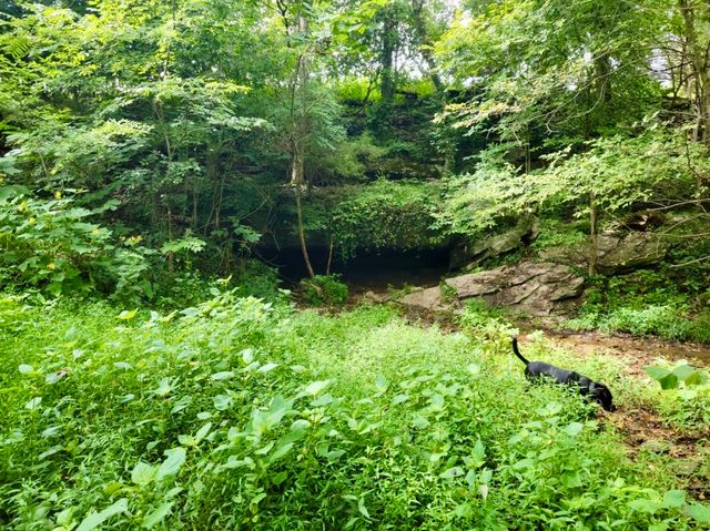 0 Allen Bend Rd, Smithville, TN 37166