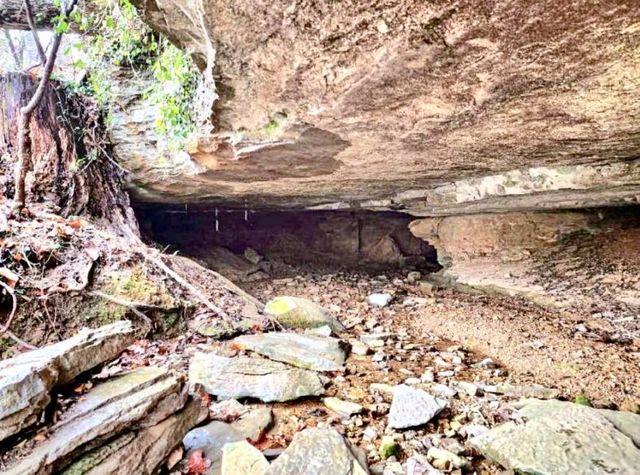 0 Allen Bend Rd, Smithville, TN 37166