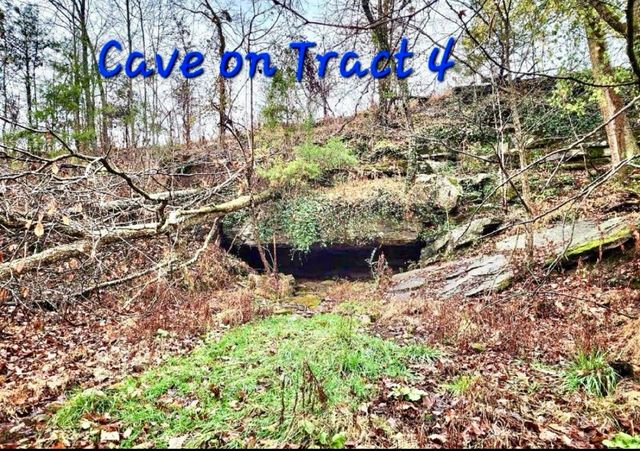 0 Allen Bend Rd, Smithville, TN 37166