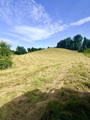 0 Allen Bend Rd, Smithville, TN 37166