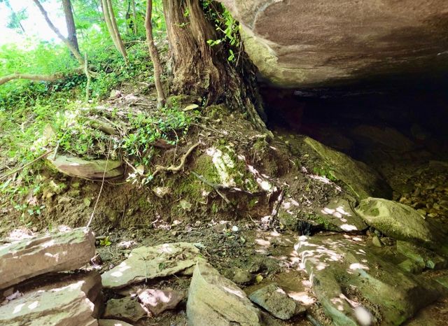 0 Allen Bend Rd, Smithville, TN 37166