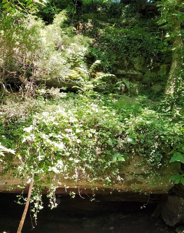 0 Allen Bend Rd, Smithville, TN 37166