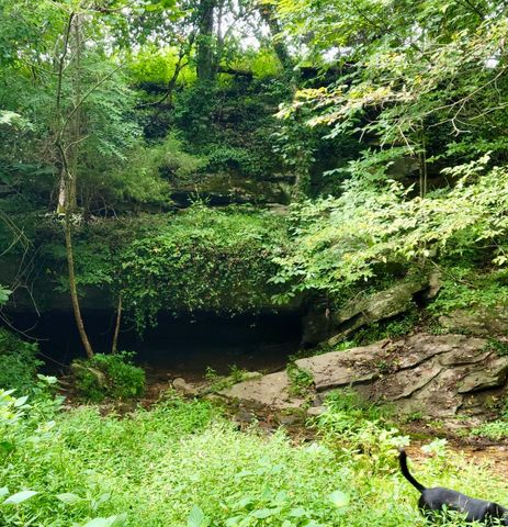 0 Allen Bend Rd, Smithville, TN 37166