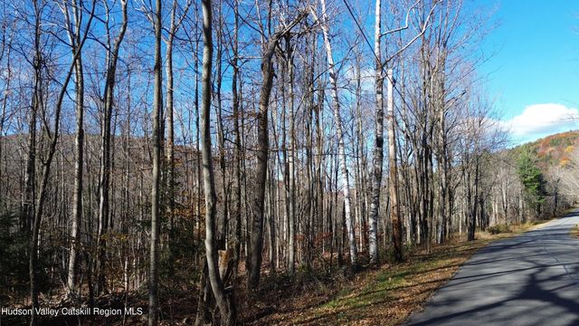 0 High Peak Lot 111-112, Windham, NY 12496
