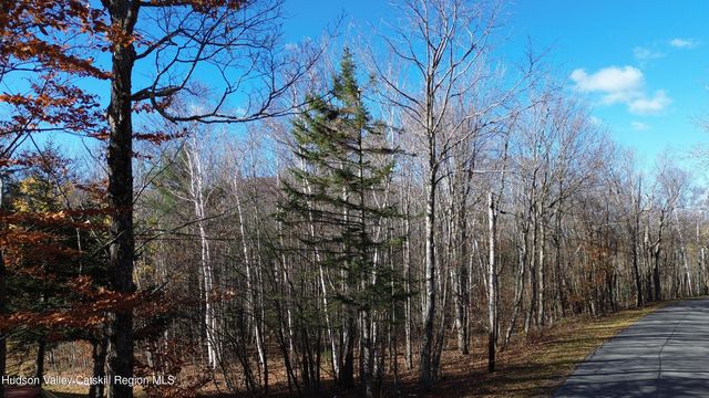 0 High Peak Lot 111-112, Windham, NY 12496