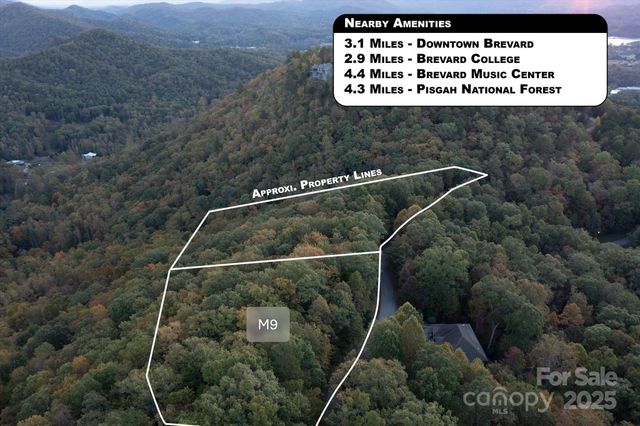 TBD Pine Mountain Trail M9, Brevard, NC 28712