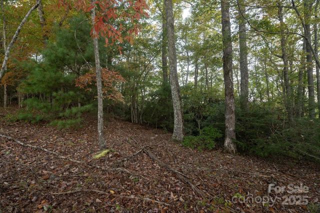 TBD Pine Mountain Trail M9, Brevard, NC 28712