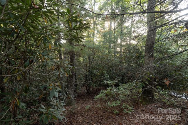 TBD Pine Mountain Trail M9, Brevard, NC 28712