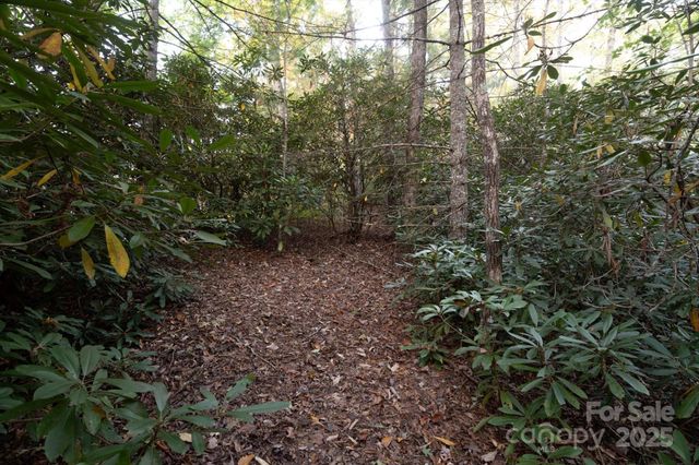 TBD Pine Mountain Trail M9, Brevard, NC 28712