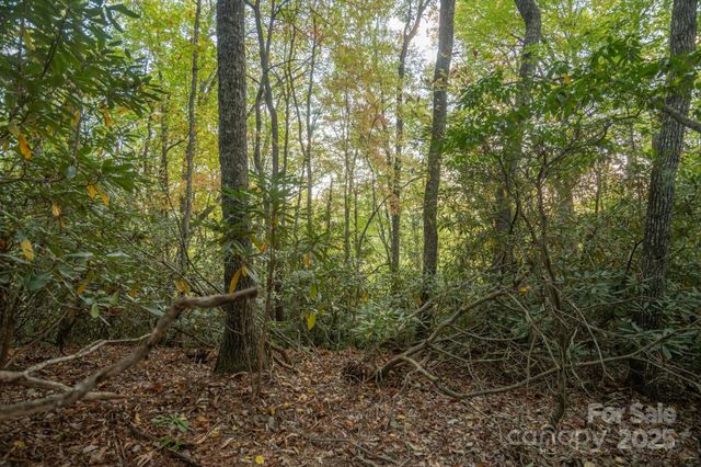 TBD Pine Mountain Trail M9, Brevard, NC 28712