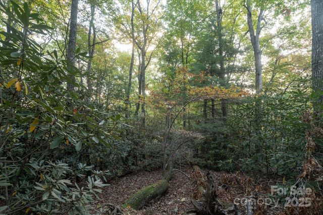 TBD Pine Mountain Trail M9, Brevard, NC 28712