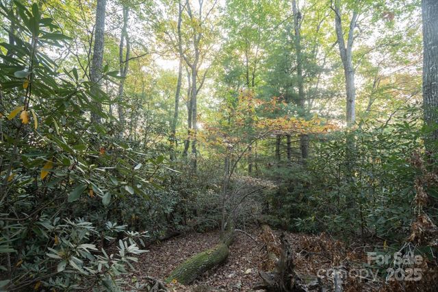 TBD Pine Mountain Trail M9, Brevard, NC 28712