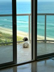 8855 Collins Ave 11B, Surfside, FL 33154
