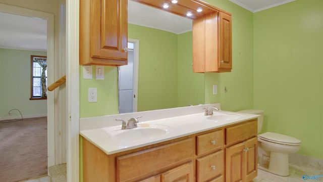 17558 Richter Road, Rogersville, AL 35652