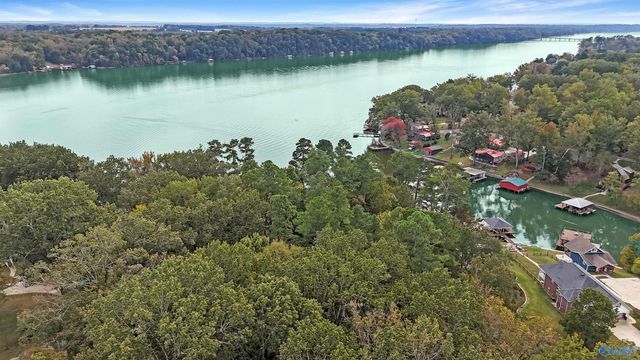 17558 Richter Road, Rogersville, AL 35652