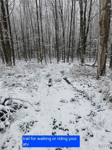 8007 Kimball Road, Vienna, NY 13308