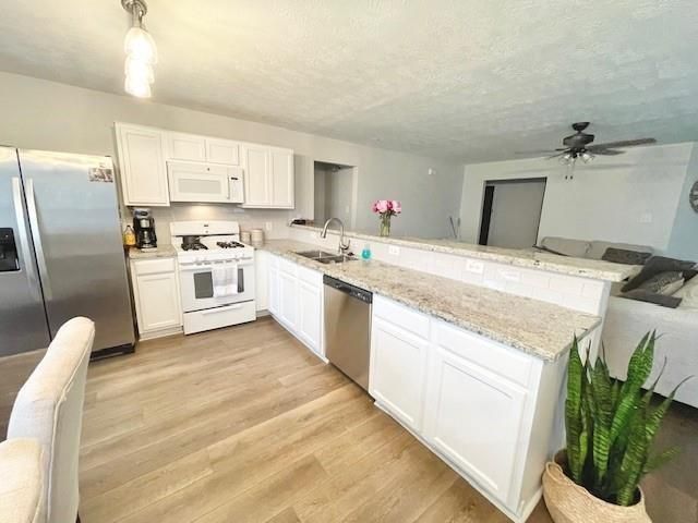 19238 Anthurium Court, Katy, TX 77449