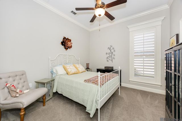 6055 Jonathan Alaric Ave, Gonzales, LA 70737