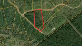 Lot 10 Eagle Falls Boulevard, Trinity, TX 75862