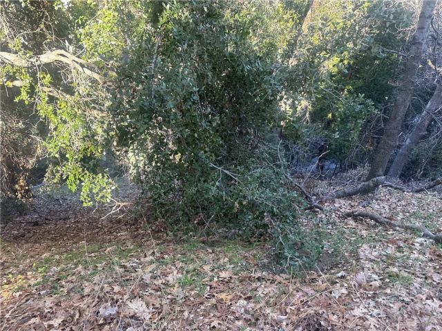 0 Ashlar, Crestline, CA 92325