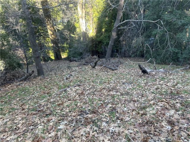 0 Ashlar, Crestline, CA 92325