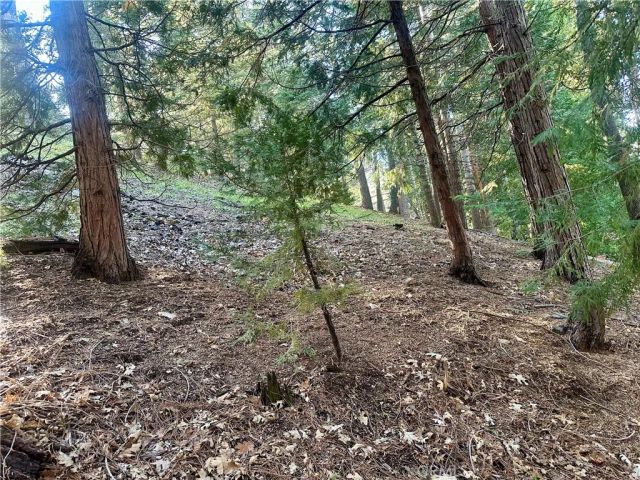 0 Ashlar, Crestline, CA 92325