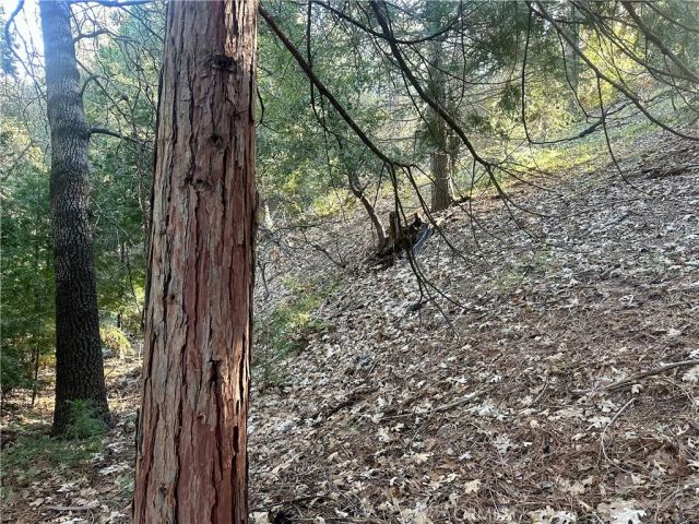 0 Ashlar, Crestline, CA 92325