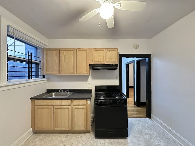 415 E 80th Street 1, Chicago, IL 60619