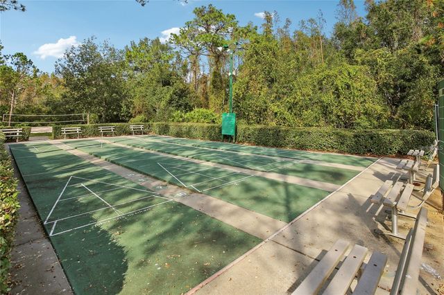 30352 ELDERWOOD DRIVE, Wesley Chapel, FL 33543