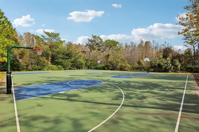 30352 ELDERWOOD DRIVE, Wesley Chapel, FL 33543