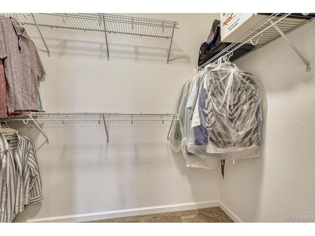 11791 Barrentine Loop, Parker, CO 80138