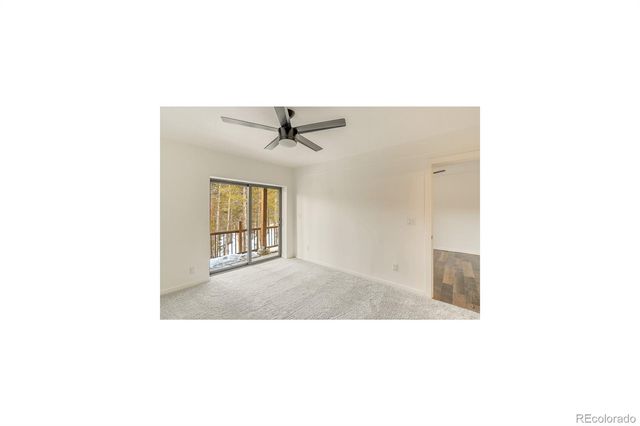 148 N Aspen Street, Alma, CO 80420