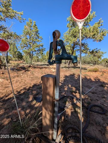 7267 RED FEATHER Court, Happy Jack, AZ 86024