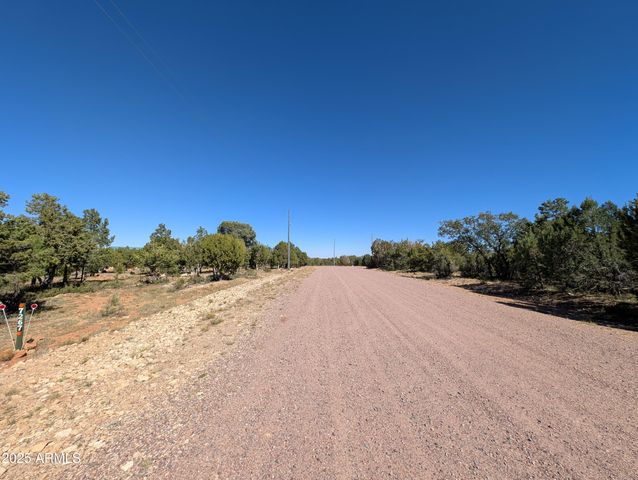 7267 RED FEATHER Court, Happy Jack, AZ 86024