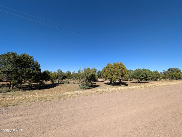 7267 RED FEATHER Court, Happy Jack, AZ 86024