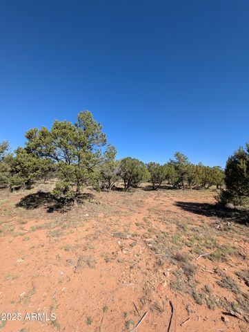 7267 RED FEATHER Court, Happy Jack, AZ 86024