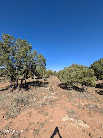 7267 RED FEATHER Court, Happy Jack, AZ 86024