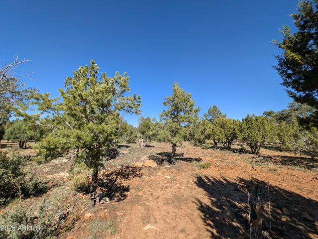 7267 RED FEATHER Court, Happy Jack, AZ 86024