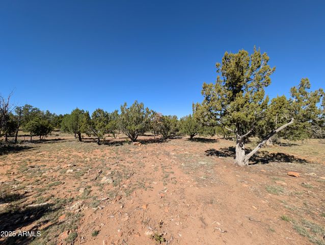 7267 RED FEATHER Court, Happy Jack, AZ 86024