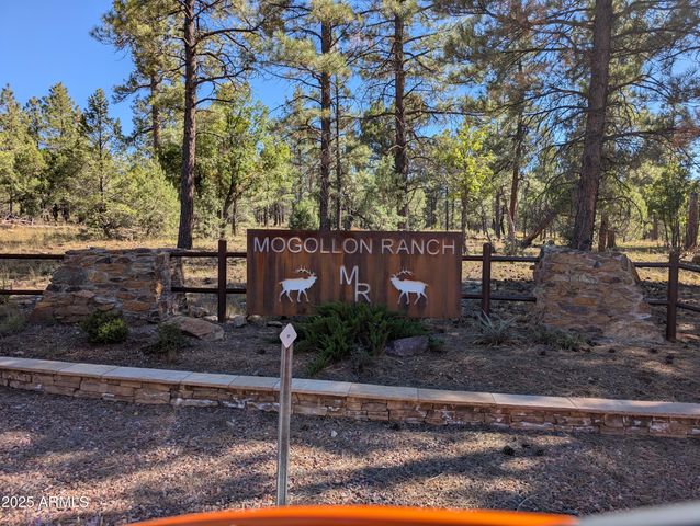 7267 RED FEATHER Court, Happy Jack, AZ 86024