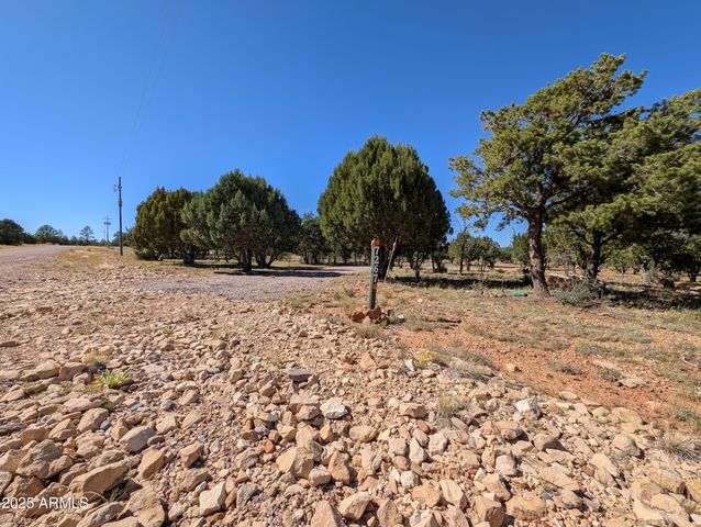 7267 RED FEATHER Court, Happy Jack, AZ 86024