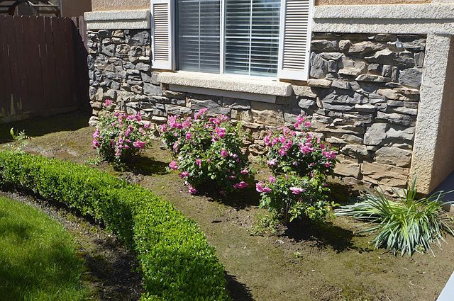 1756 N Holly Avenue, Clovis, CA 93619