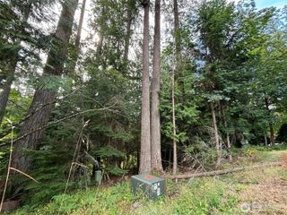 8 Morning Glory Drive, Bellingham, WA 98229