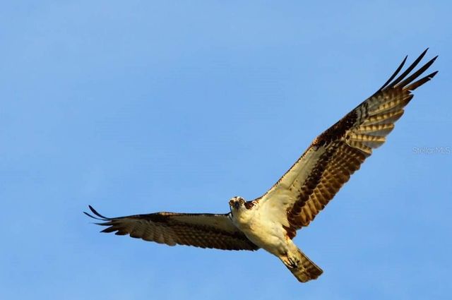 301 S GULF BOULEVARD 25, Placida, FL 33946