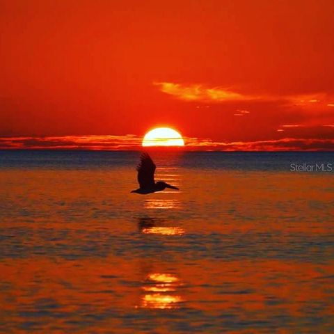 301 S GULF BOULEVARD 25, Placida, FL 33946