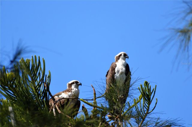 301 S GULF BOULEVARD 25, Placida, FL 33946