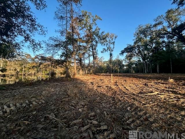 14311 Old River Rd, Maurepas, LA 70449