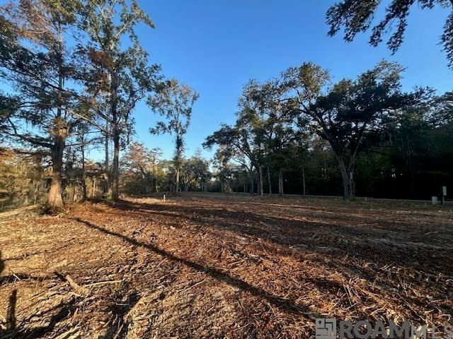 14311 Old River Rd, Maurepas, LA 70449